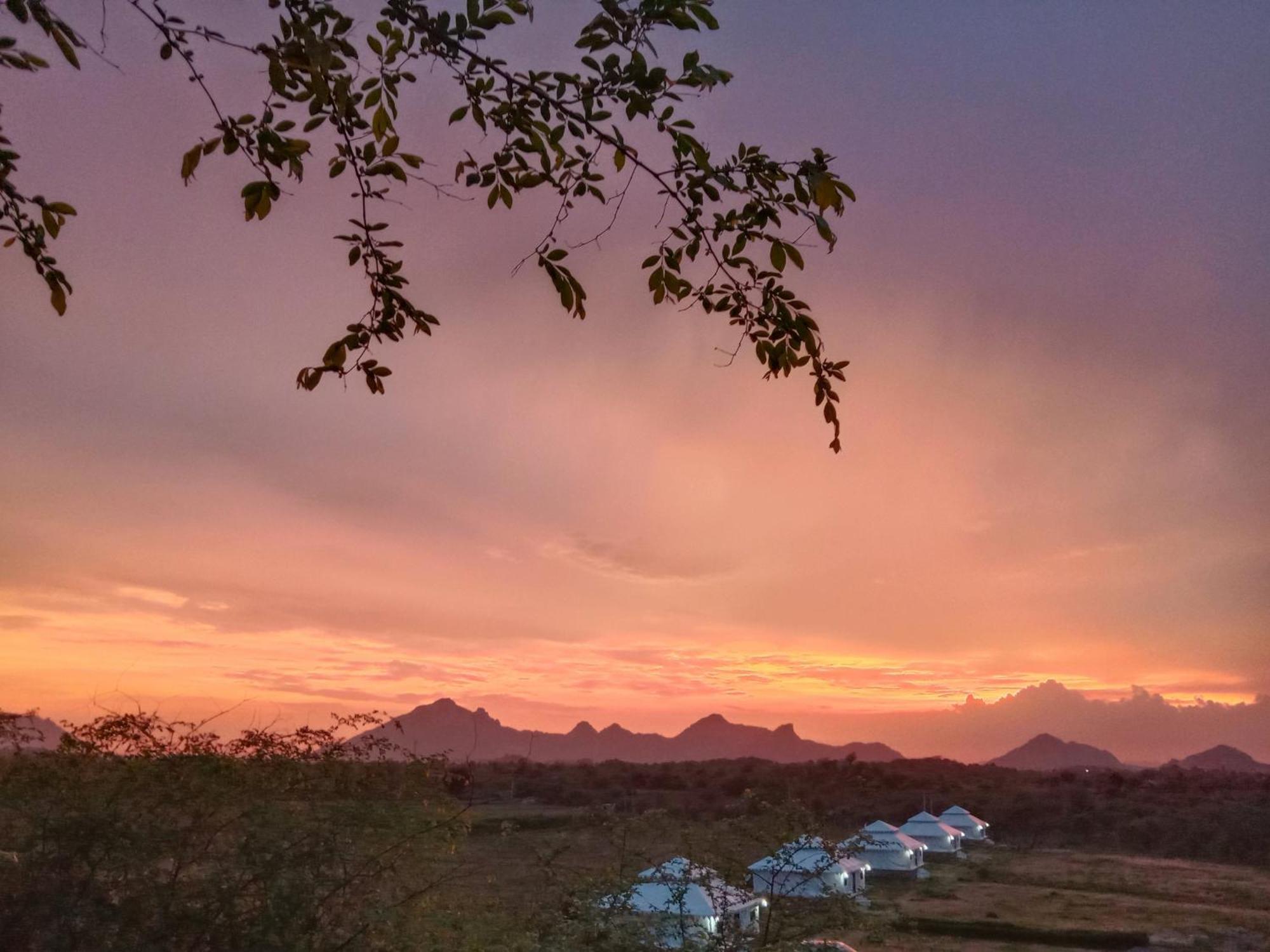 Готель The Bagheera Bagh Jawai Bera Екстер'єр фото